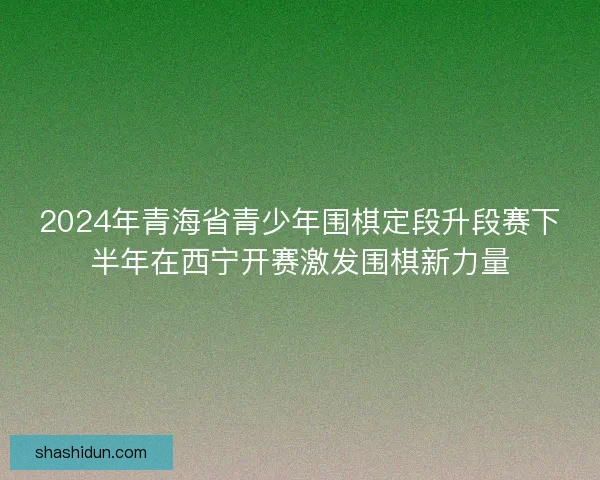 2024年青海省青少年围棋定段升段赛下半年在西宁开赛激发围棋新力量